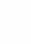 Partyland Logga